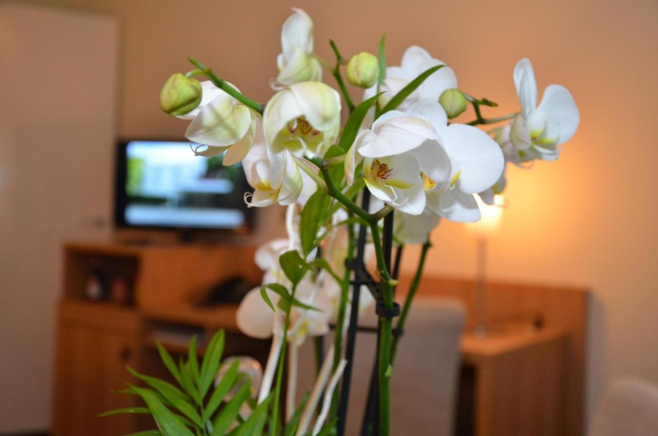 Concorde Hotel Viktoria Kronberg im Taunus Luaran gambar